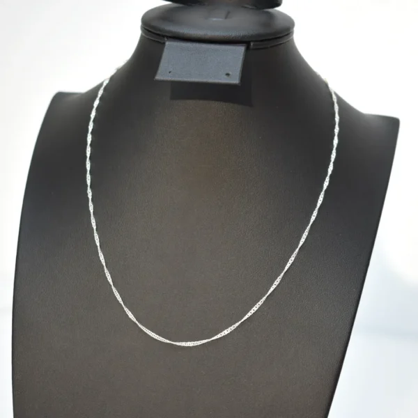 Small Thin Chain Necklace 1